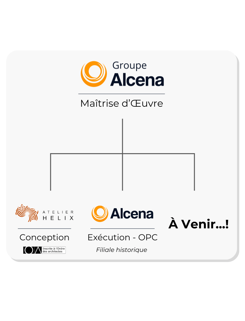 organigramme groupe alcena